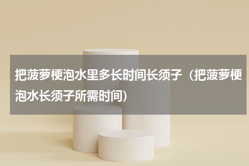 把菠萝梗泡水里多长时间长须子（把菠萝梗泡水长须子所需时间）