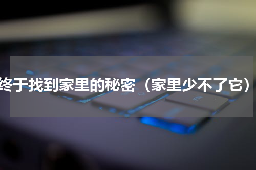 终于找到家里的秘密（家里少不了它）