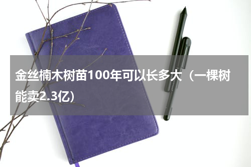 金丝楠木树苗100年可以长多大（一棵树能卖2.3亿）