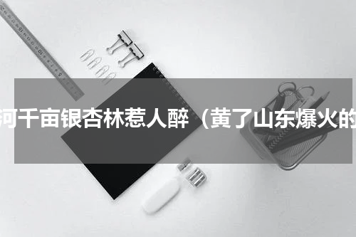 黄河千亩银杏林惹人醉（黄了山东爆火的）