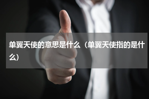 单翼天使的意思是什么（单翼天使指的是什么）