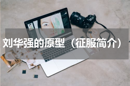 刘华强的原型（征服简介）
