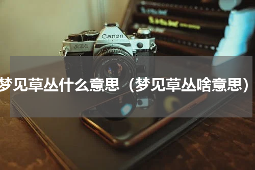 梦见草丛什么意思（梦见草丛啥意思）