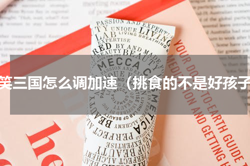 爆笑三国怎么调加速（挑食的不是好孩子）