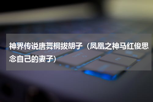 神界传说唐舞桐拔胡子（凤凰之神马红俊思念自己的妻子）
