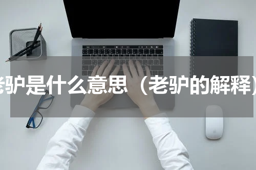 老驴是什么意思（老驴的解释）