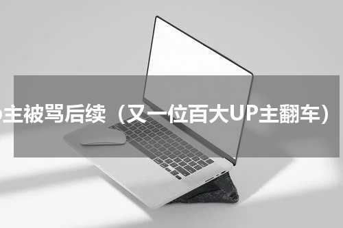 up主被骂后续（又一位百大UP主翻车）