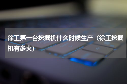 徐工第一台挖掘机什么时候生产（徐工挖掘机有多火）