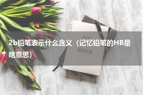 2b铅笔表示什么含义（记忆铅笔的HB是啥意思）