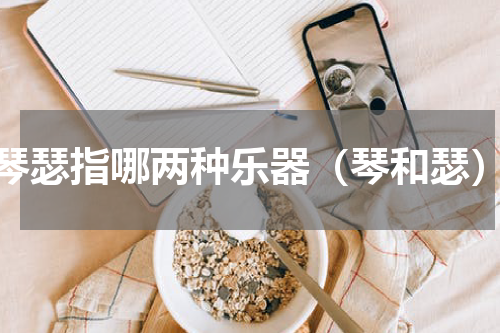 琴瑟指哪两种乐器（琴和瑟）