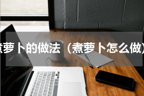 煮萝卜的做法（煮萝卜怎么做）