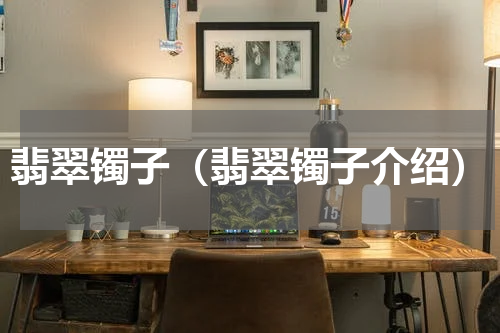 翡翠镯子（翡翠镯子介绍）