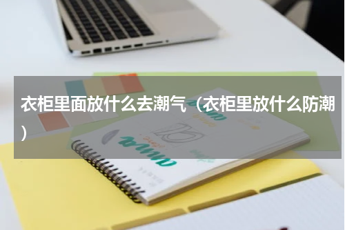 衣柜里面放什么去潮气（衣柜里放什么防潮）