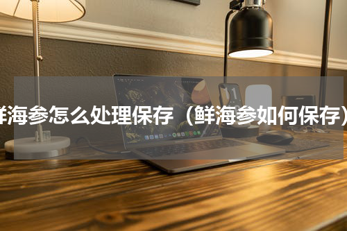鲜海参怎么处理保存（鲜海参如何保存）