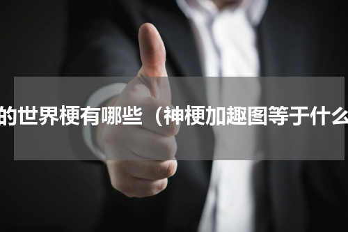 我的世界梗有哪些（神梗加趣图等于什么）