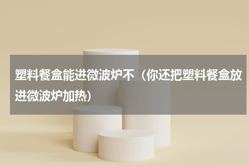 塑料餐盒能进微波炉不（你还把塑料餐盒放进微波炉加热）