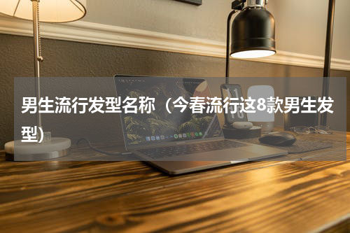 男生流行发型名称（今春流行这8款男生发型）