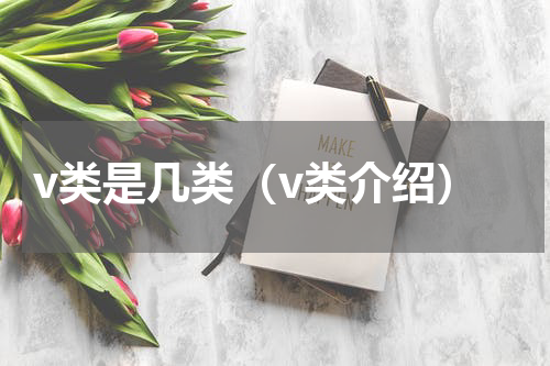v类是几类（v类介绍）