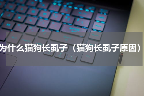 为什么猫狗长虱子（猫狗长虱子原因）