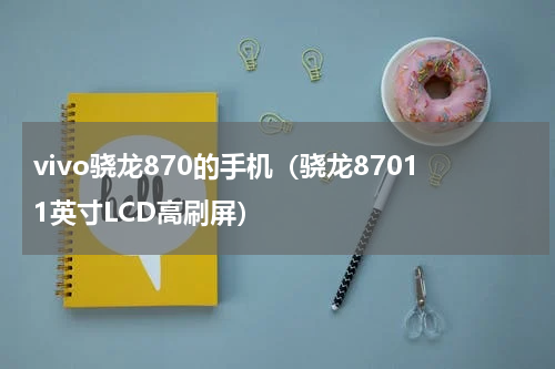 vivo骁龙870的手机（骁龙87011英寸LCD高刷屏）