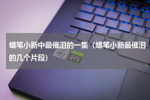 蜡笔小新中最催泪的一集（蜡笔小新最催泪的几个片段）