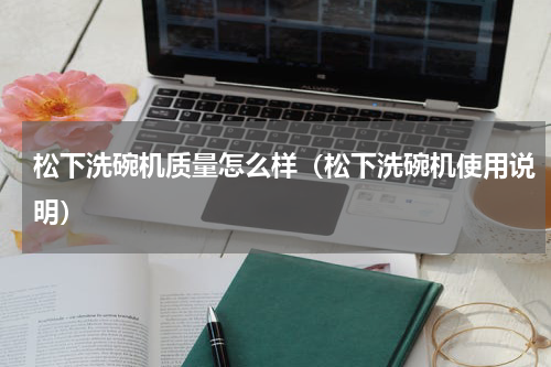 松下洗碗机质量怎么样（松下洗碗机使用说明）