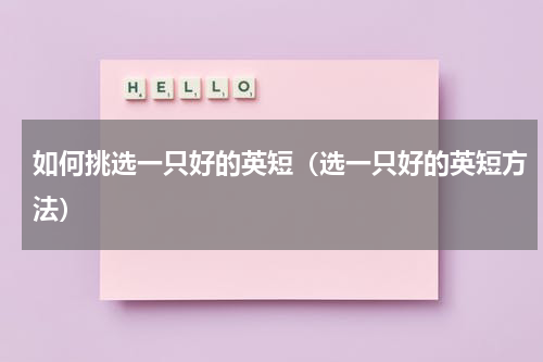 如何挑选一只好的英短（选一只好的英短方法）