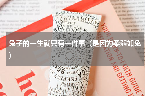 兔子的一生就只有一件事（是因为柔弱如兔）