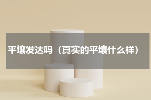 平壤发达吗（真实的平壤什么样）