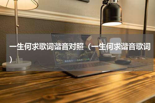 一生何求歌词谐音对照（一生何求谐音歌词）