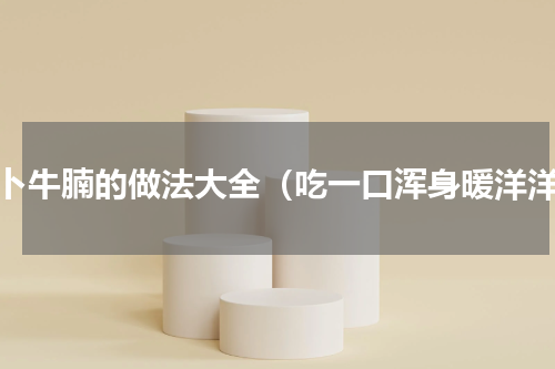 萝卜牛腩的做法大全（吃一口浑身暖洋洋）