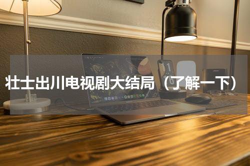 壮士出川电视剧大结局（了解一下）