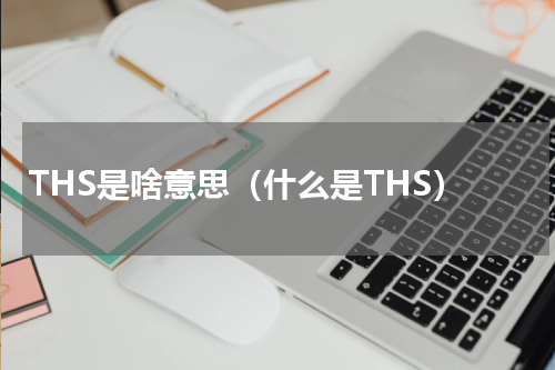 THS是啥意思（什么是THS）