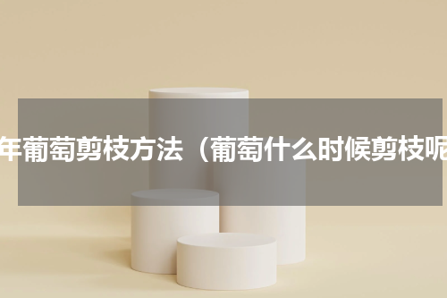 两年葡萄剪枝方法（葡萄什么时候剪枝呢）