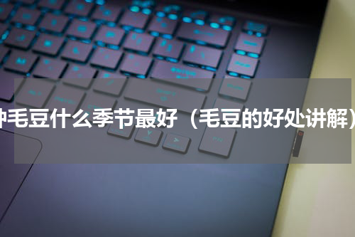 种毛豆什么季节最好（毛豆的好处讲解）
