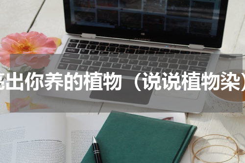 亮出你养的植物（说说植物染）
