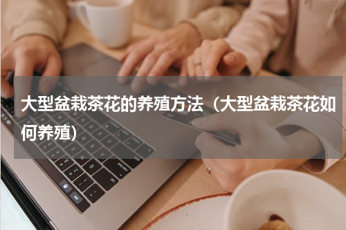 大型盆栽茶花的养殖方法（大型盆栽茶花如何养殖）