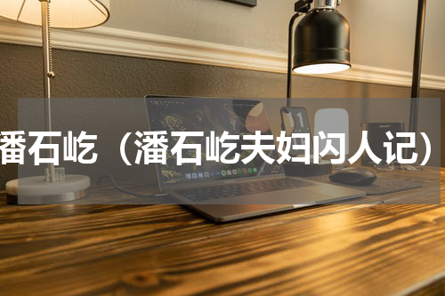 潘石屹（潘石屹夫妇闪人记）