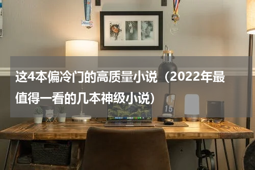 这4本偏冷门的高质量小说（2022年最值得一看的几本神级小说）