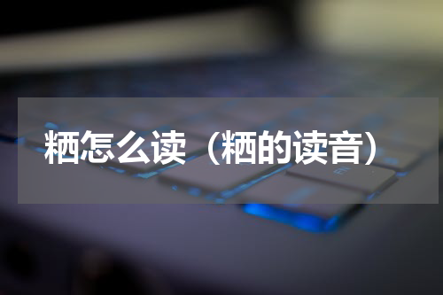 粞怎么读（粞的读音）