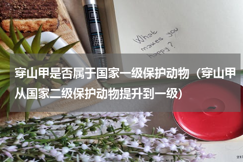 穿山甲是否属于国家一级保护动物（穿山甲从国家二级保护动物提升到一级）