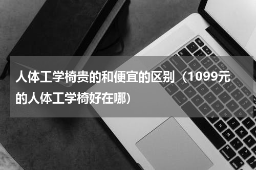 人体工学椅贵的和便宜的区别（1099元的人体工学椅好在哪）