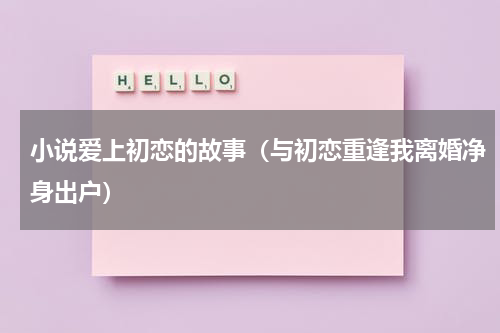 小说爱上初恋的故事（与初恋重逢我离婚净身出户）