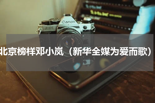 北京榜样邓小岚（新华全媒为爱而歌）
