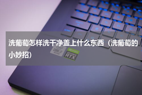 洗葡萄怎样洗干净盖上什么东西（洗葡萄的小妙招）