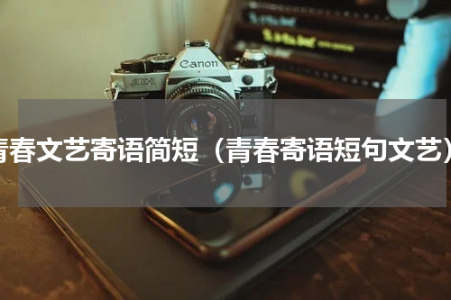 青春文艺寄语简短（青春寄语短句文艺）