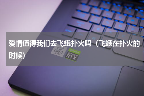 爱情值得我们去飞蛾扑火吗（飞蛾在扑火的时候）