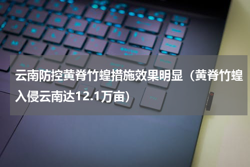 云南防控黄脊竹蝗措施效果明显（黄脊竹蝗入侵云南达12.1万亩）