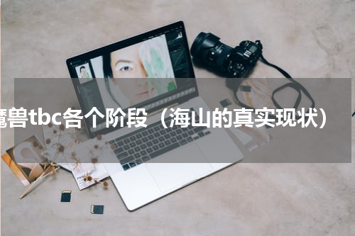 魔兽tbc各个阶段（海山的真实现状）