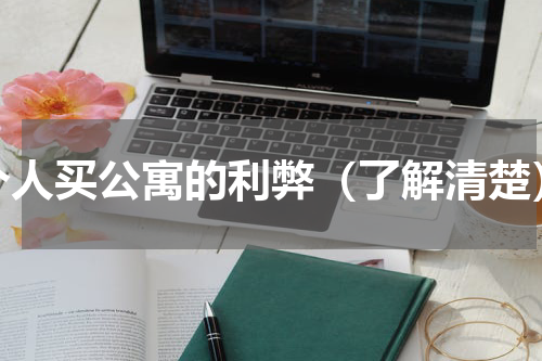 个人买公寓的利弊（了解清楚）